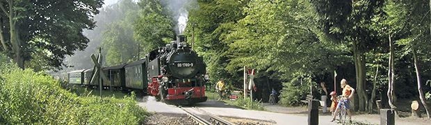 Schmalspurbahn im Lößnitzgrund